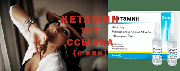сатива Новозыбков