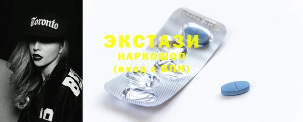 сатива Новозыбков
