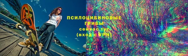 мдма Няндома