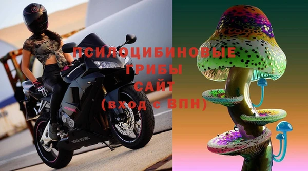 сатива Нязепетровск