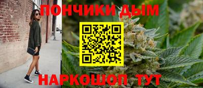 индика Гусиноозёрск