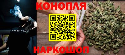 стаф Берёзовский