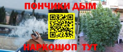 индика Гусиноозёрск