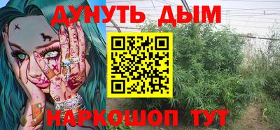 стаф Берёзовский