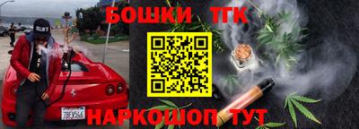 стаф Берёзовский