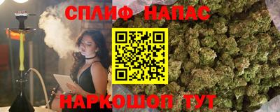 spice Кинель