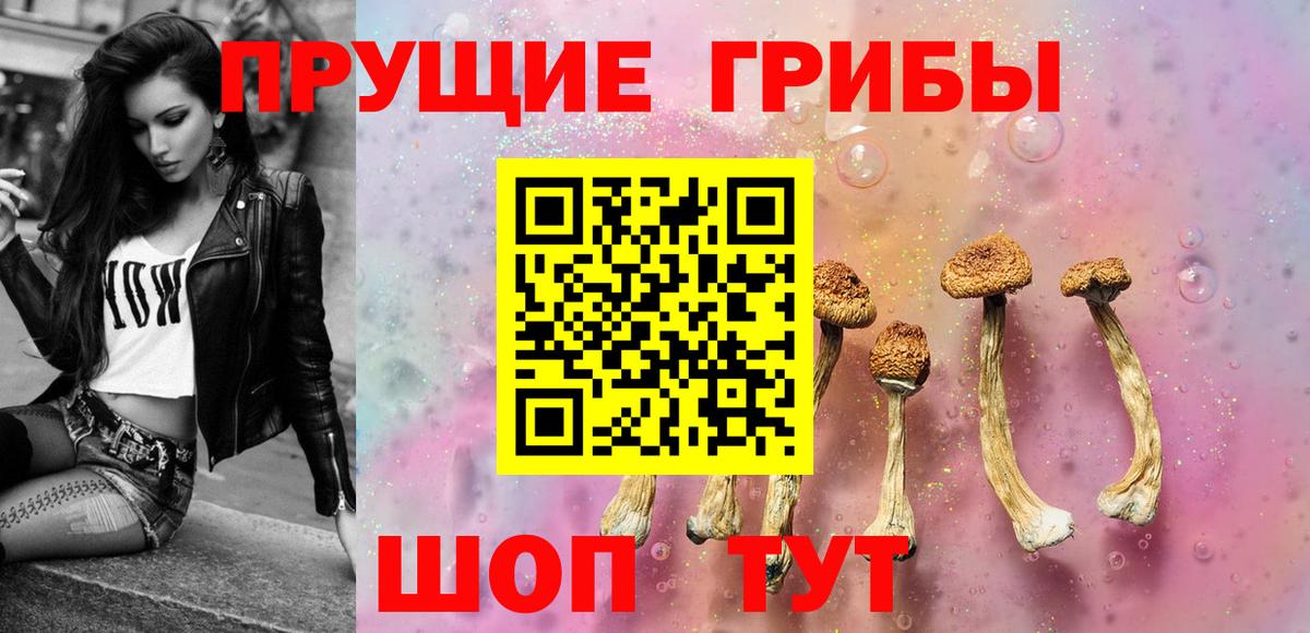 Магадан  купить   Вход с VPN  Галлюциногенные грибы Psilocybine cubensis 