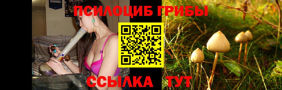 Псилоцибиновые грибы мицелий Магадан